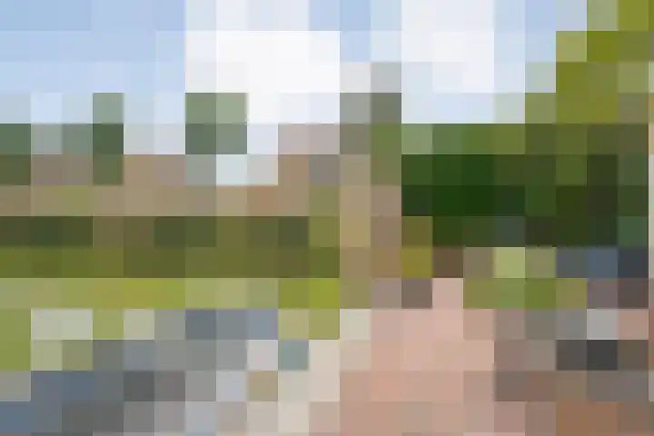 Noordse Stern 1 Emmen thumbnail 40