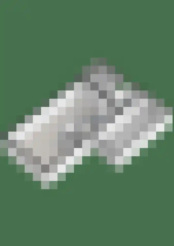 Noordse Stern 1 Emmen thumbnail 46