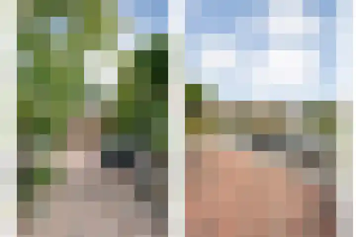 Noordse Stern 1 Emmen thumbnail 5