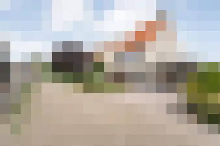 Noordse Stern 1 Emmen thumbnail 6