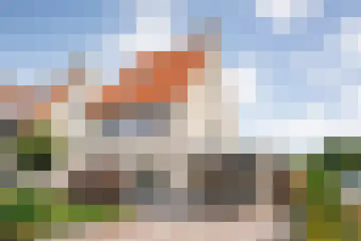 Noordse Stern 1 Emmen thumbnail 60