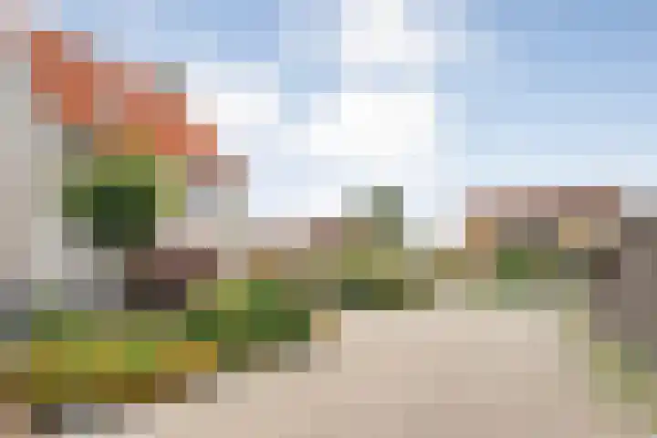 Noordse Stern 1 Emmen thumbnail 7
