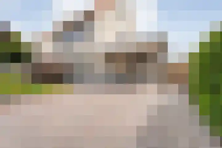 Noordse Stern 1 Emmen thumbnail 8