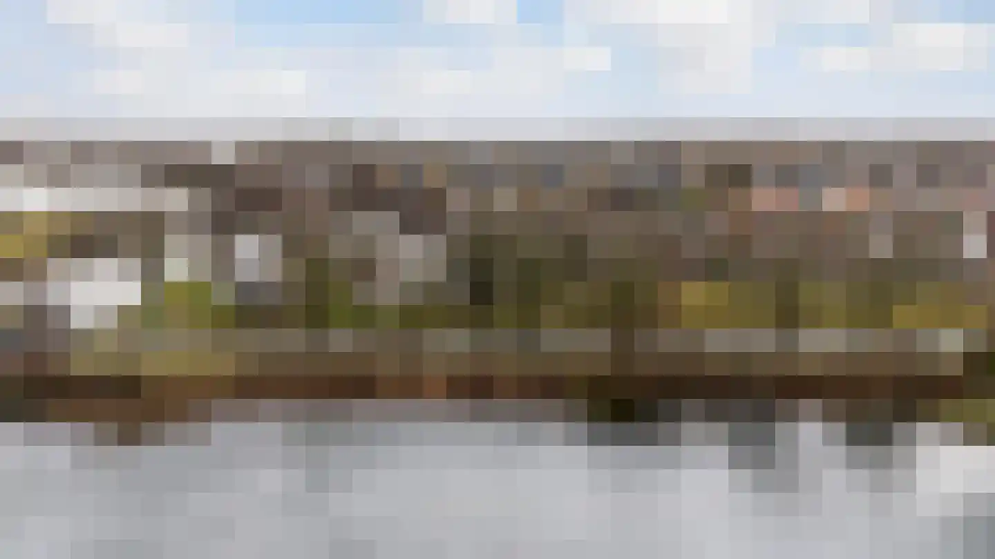 Noordse Stern 28 Emmen thumbnail 49