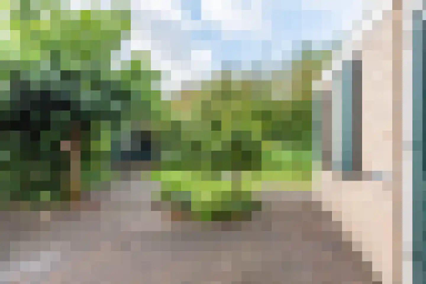 Noordse Stern 3 Ulft thumbnail 32