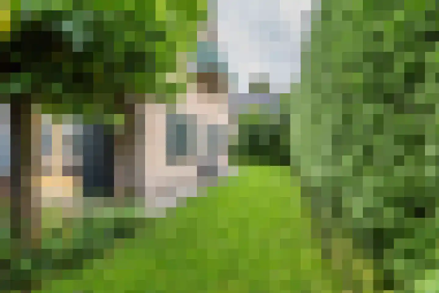 Noordse Stern 3 Ulft thumbnail 36