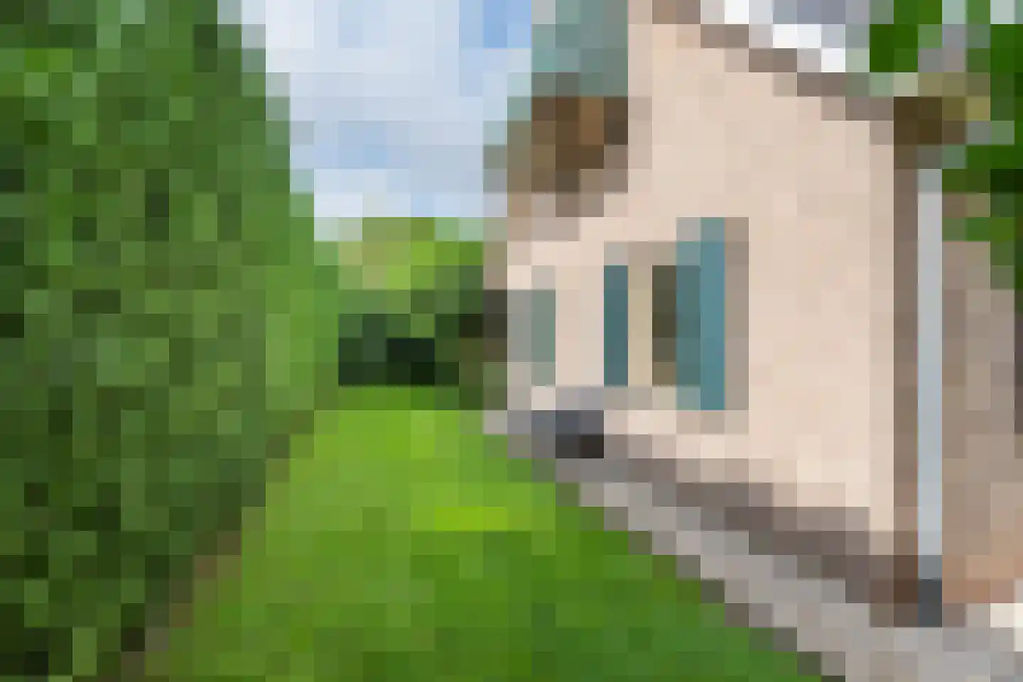 Noordse Stern 3 Ulft thumbnail 37