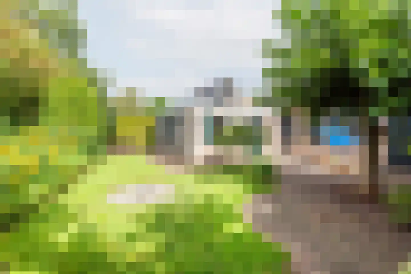 Noordse Stern 3 Ulft thumbnail 39