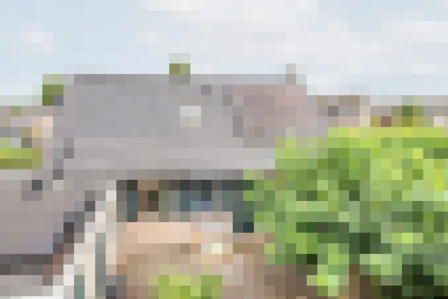 Noordse Stern 3 Ulft thumbnail 4