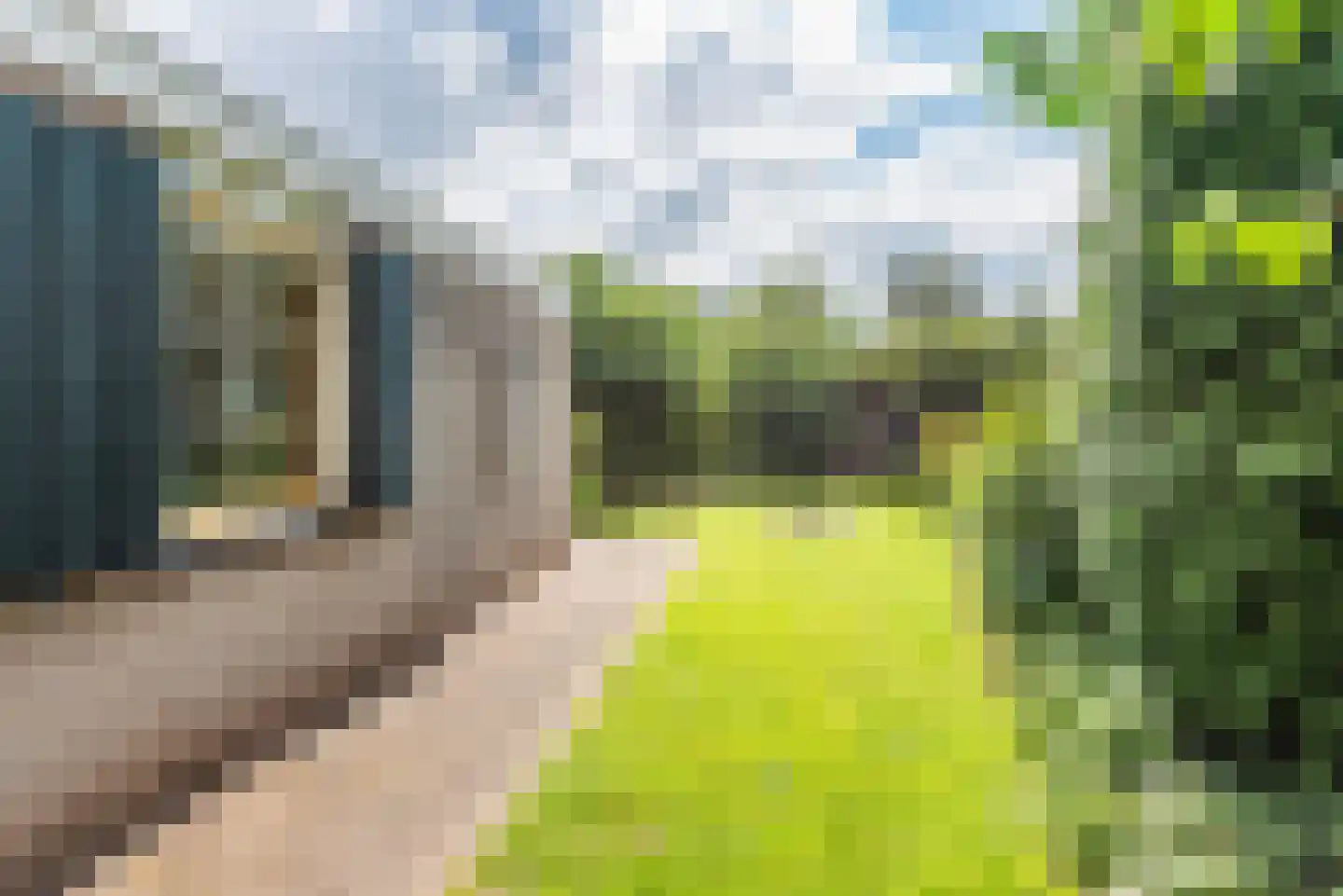 Noordse Stern 3 Ulft thumbnail 40