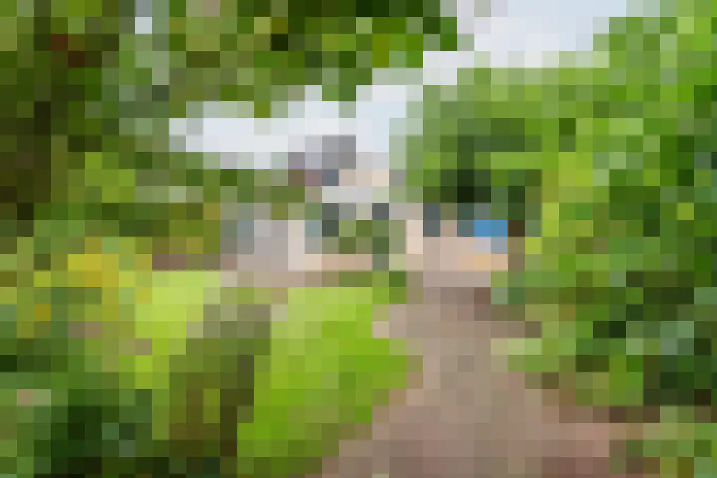 Noordse Stern 3 Ulft thumbnail 42