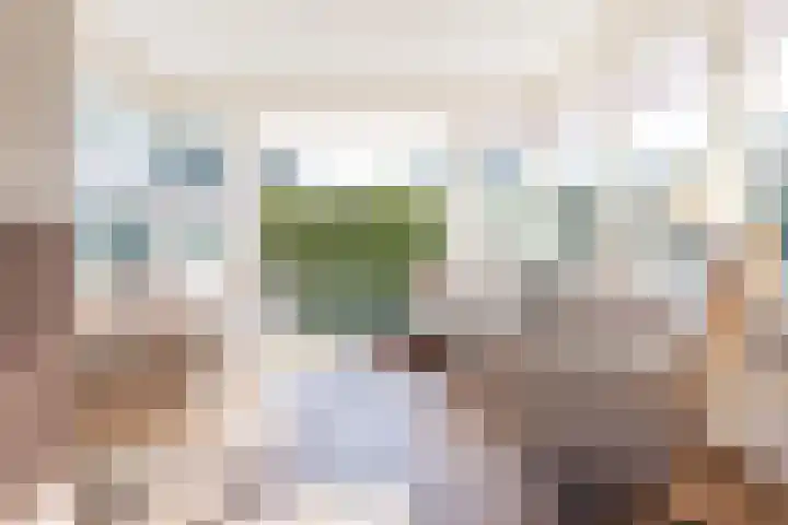 Noordse Stern 4 Ulft thumbnail 13