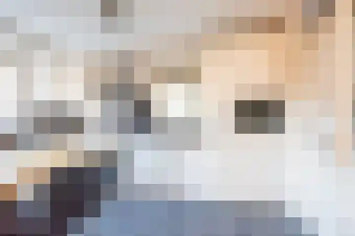 Noordse Stern 4 Ulft thumbnail 16