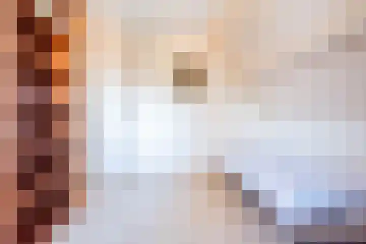 Noordse Stern 4 Ulft thumbnail 23
