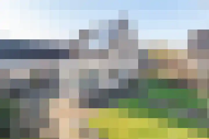 Noordse Stern 4 Ulft thumbnail 36
