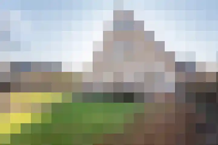Noordse Stern 4 Ulft thumbnail 37