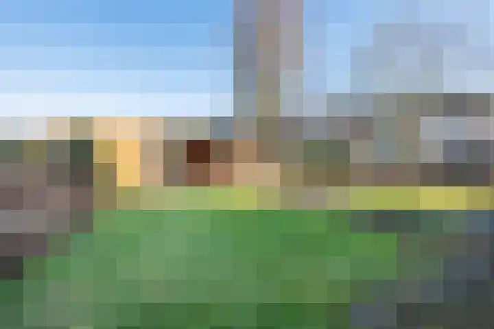 Noordse Stern 4 Ulft thumbnail 38