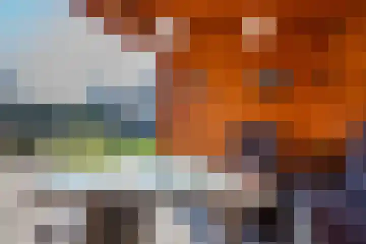 Noordse Stern 4 Ulft thumbnail 41