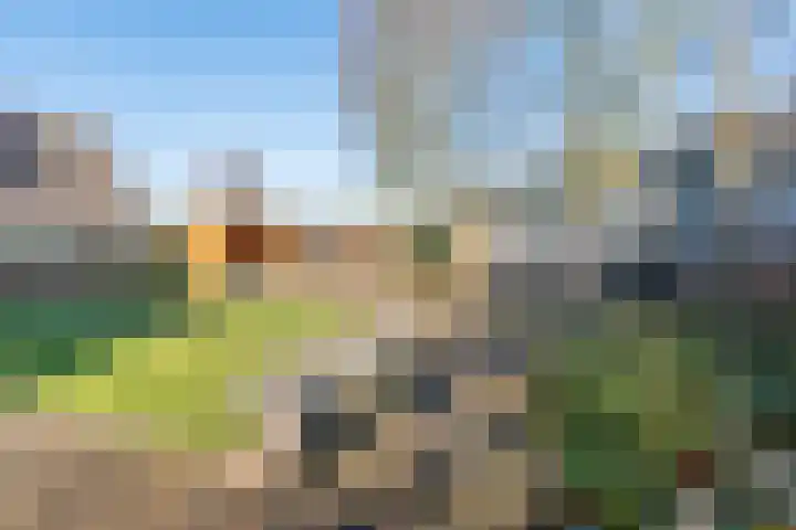 Noordse Stern 4 Ulft thumbnail 42