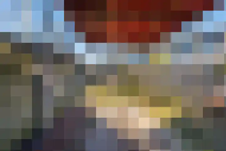 Noordse Stern 4 Ulft thumbnail 44