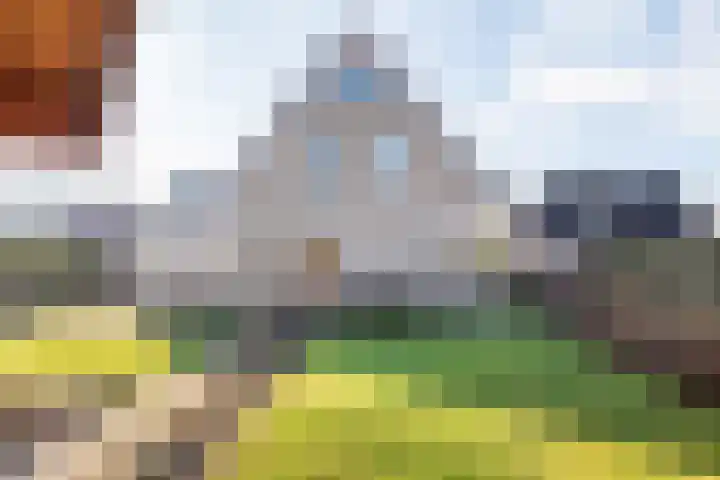 Noordse Stern 4 Ulft thumbnail 45