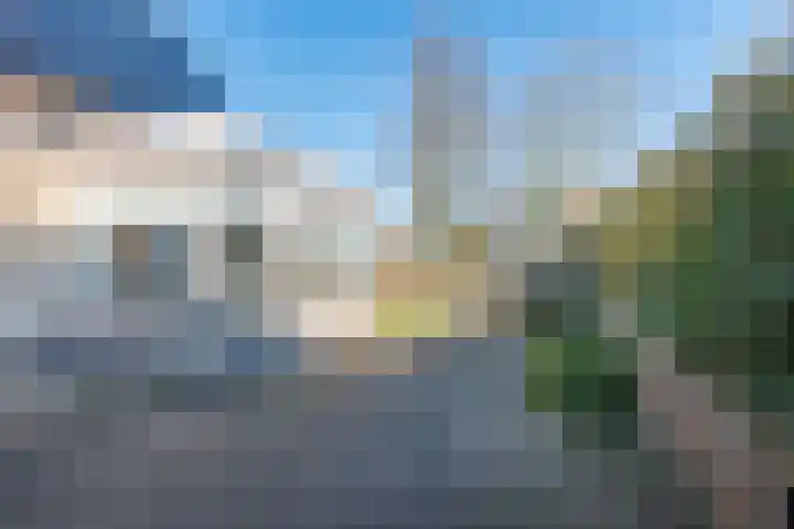 Noordse Stern 4 Ulft thumbnail 46