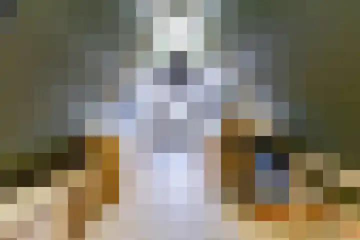 Noordse Stern 4 Ulft thumbnail 50