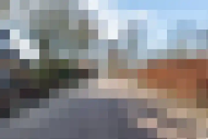 Noordse Stern 4 Ulft thumbnail 53