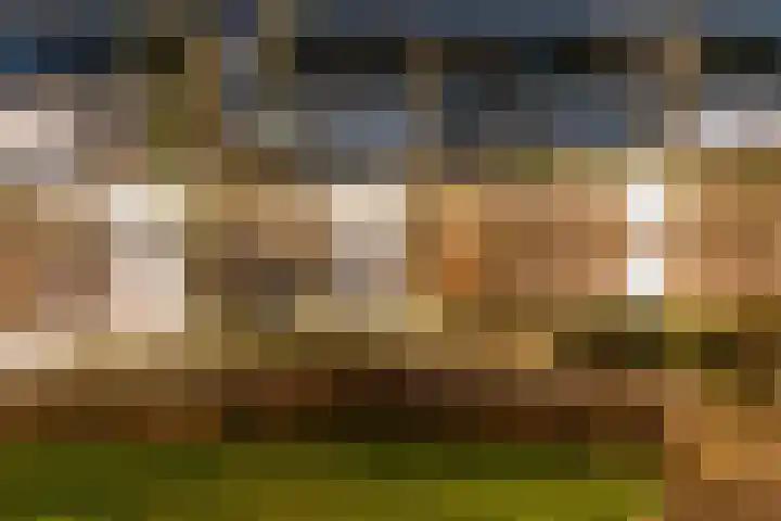 Noordse Stern 4 Ulft thumbnail 55