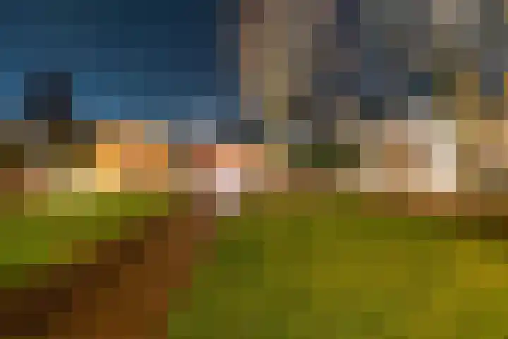Noordse Stern 4 Ulft thumbnail 56