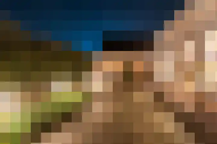 Noordse Stern 4 Ulft thumbnail 58