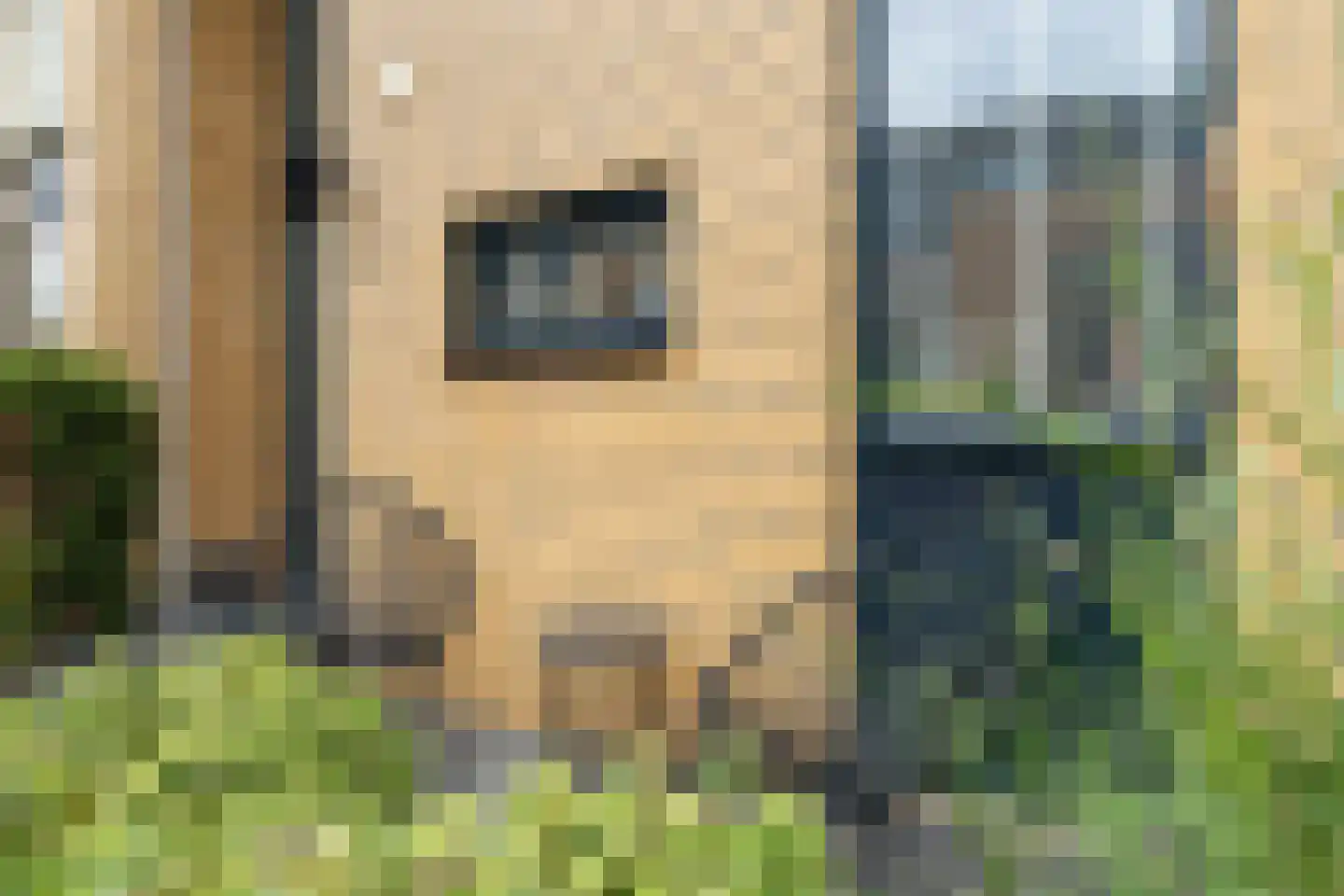 Noordsigt 137 Dordrecht thumbnail 8