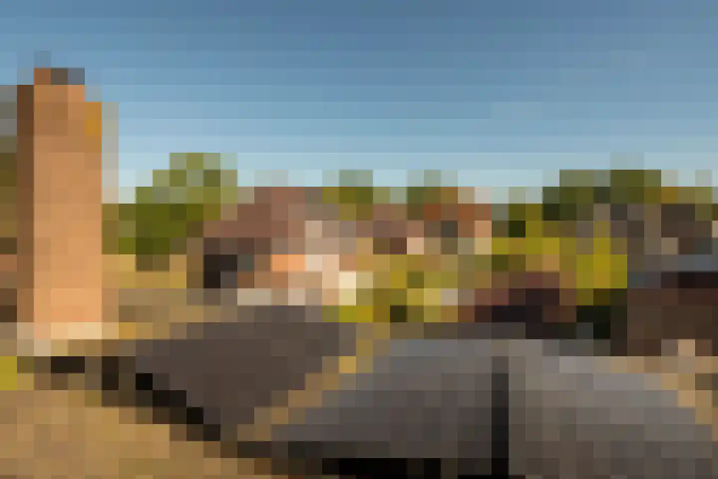 Noordsingel 107 Bergen op Zoom thumbnail 41