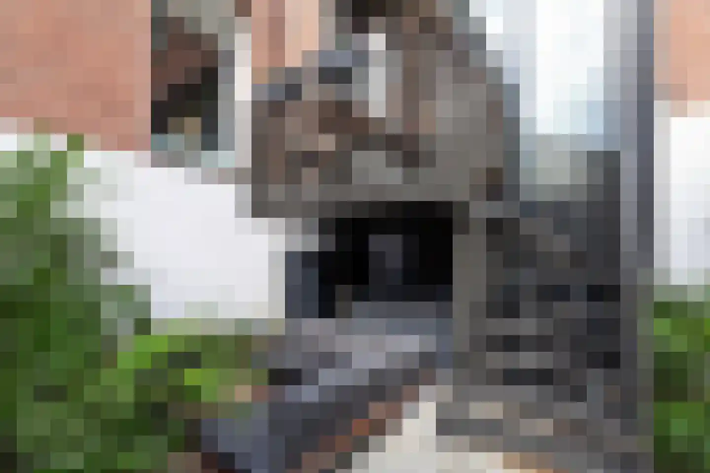 Noordsingel 113 S Rotterdam thumbnail 19