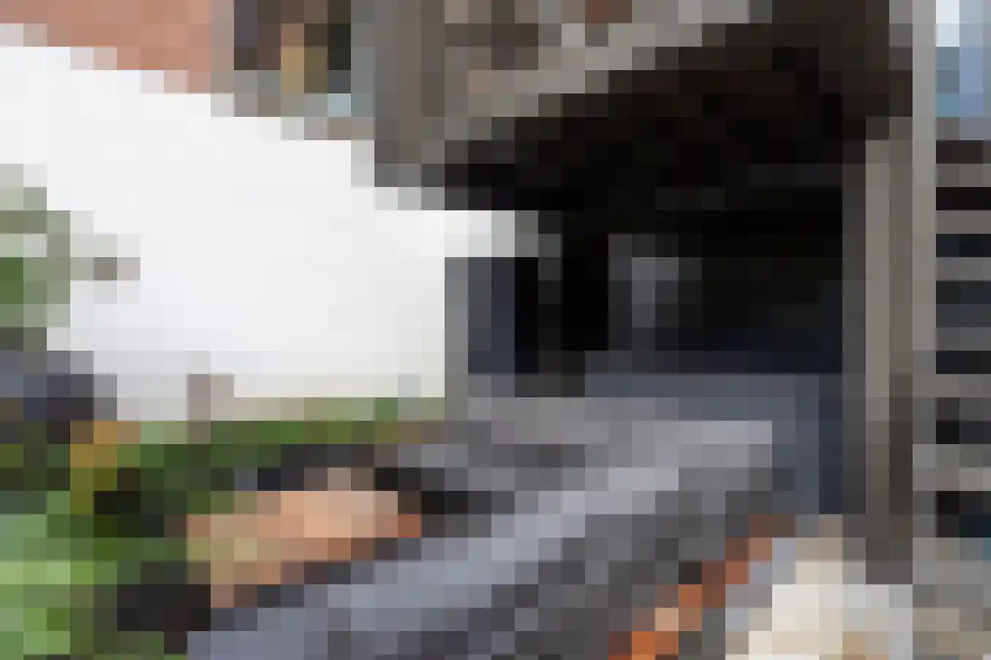Noordsingel 113 S Rotterdam thumbnail 20