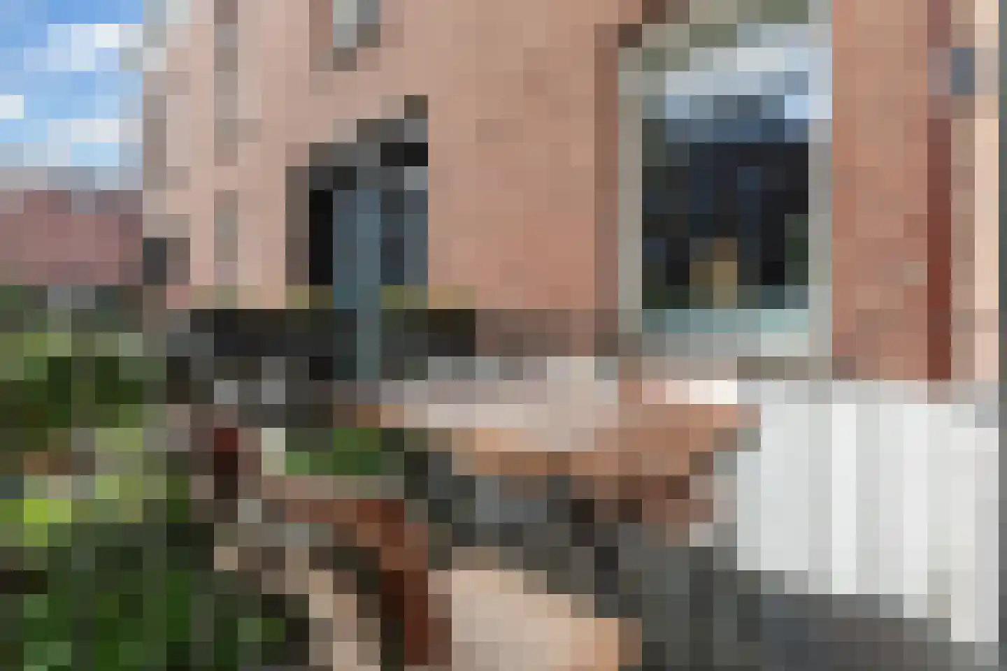Noordsingel 113 S Rotterdam thumbnail 21