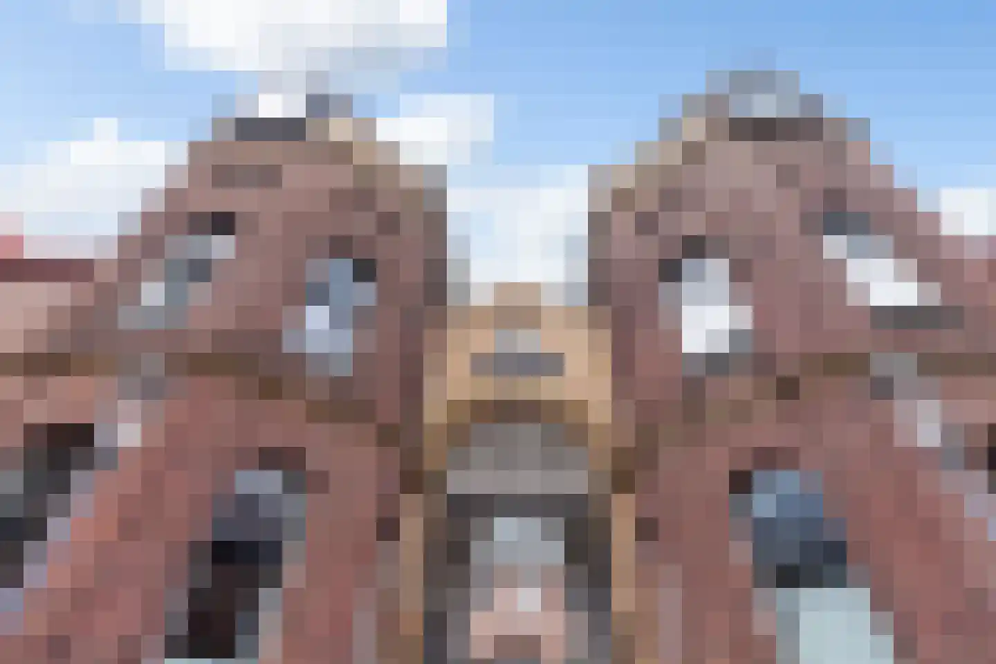 Noordsingel 113 S Rotterdam thumbnail 4