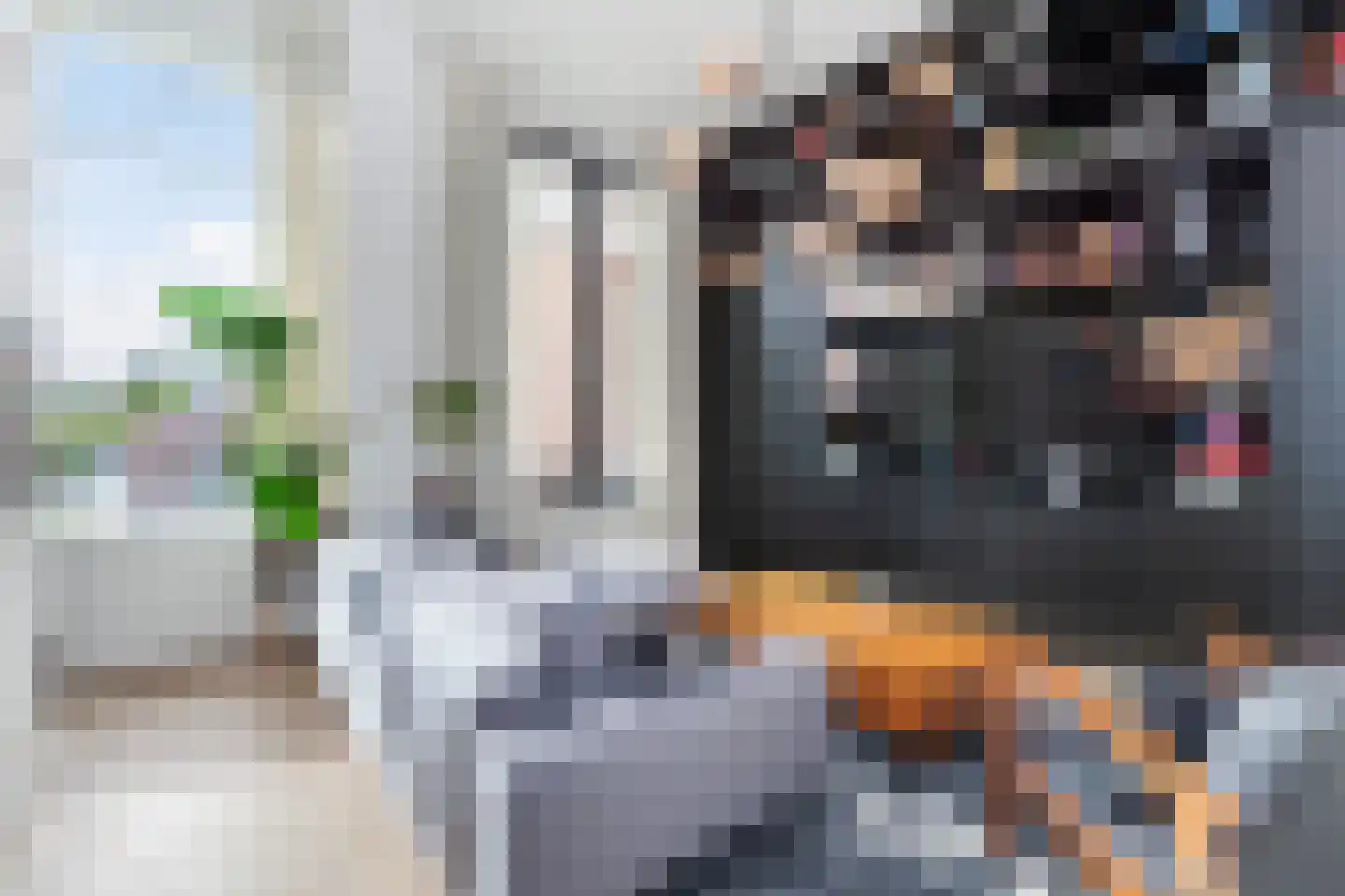 Noordsingel 113 S Rotterdam thumbnail 8