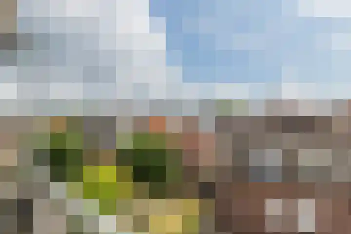 Noordsingel 114 Bergen op Zoom thumbnail 14