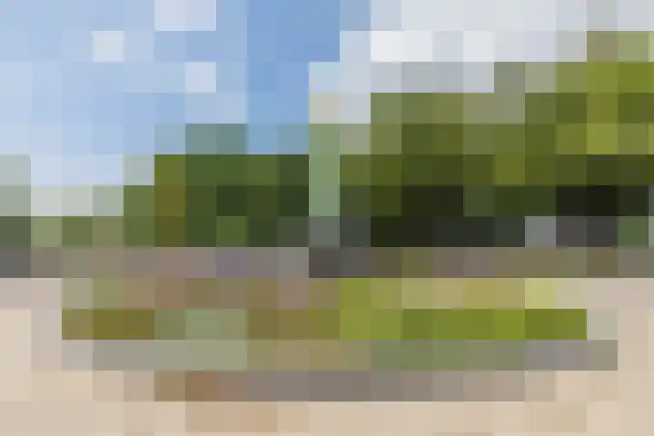 Noordsingel 114 Bergen op Zoom thumbnail 33
