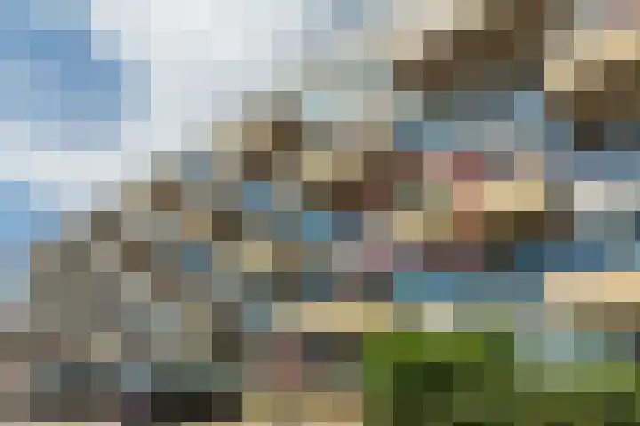 Noordsingel 114 Bergen op Zoom thumbnail 38