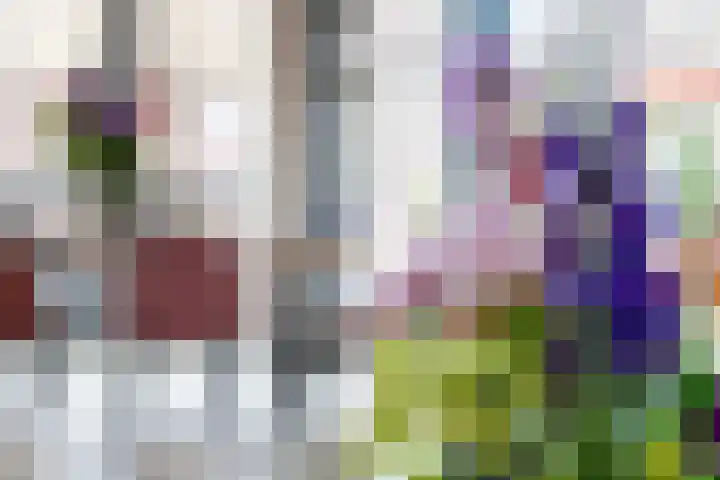 Noordsingel 115 U Rotterdam thumbnail 12