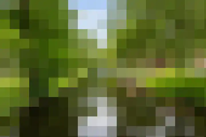 Noordsingel 115 U Rotterdam thumbnail 31