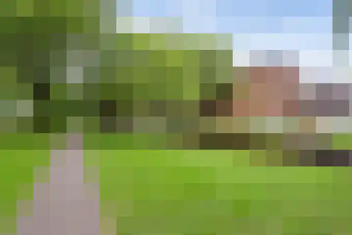 Noordsingel 115 U Rotterdam thumbnail 32
