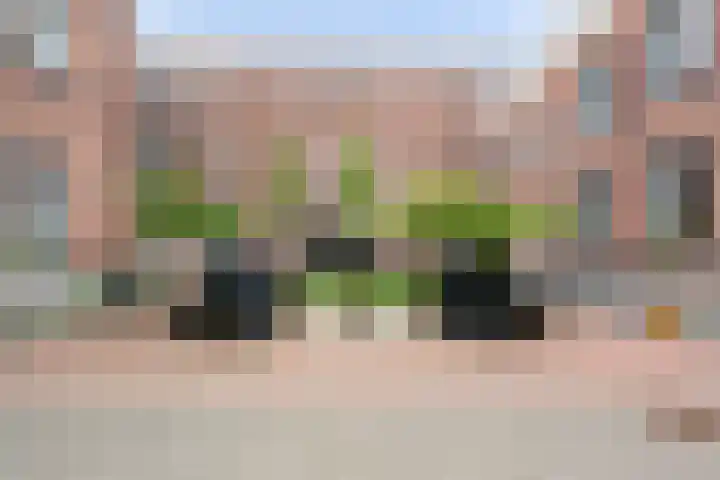 Noordsingel 115 U Rotterdam thumbnail 35