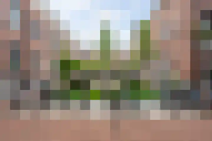 Noordsingel 115 U Rotterdam thumbnail 41