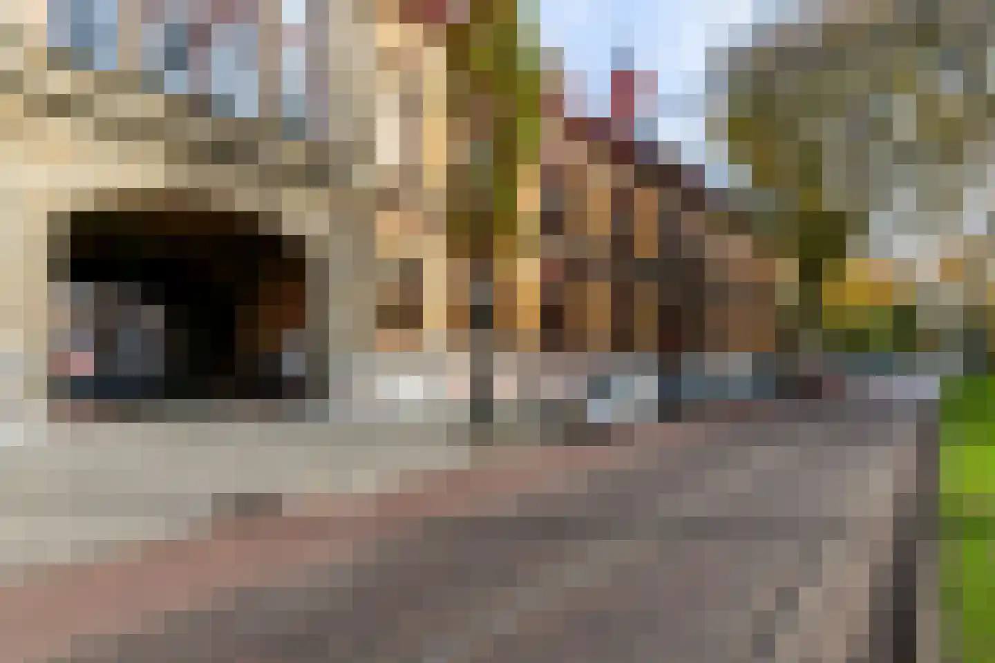 Noordsingel 117 A Rotterdam thumbnail 37