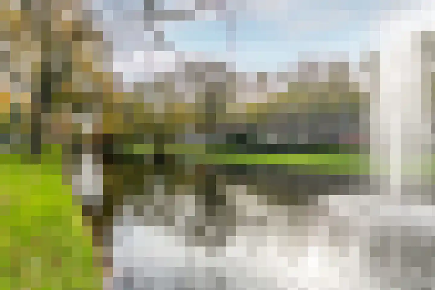 Noordsingel 117 A Rotterdam thumbnail 6