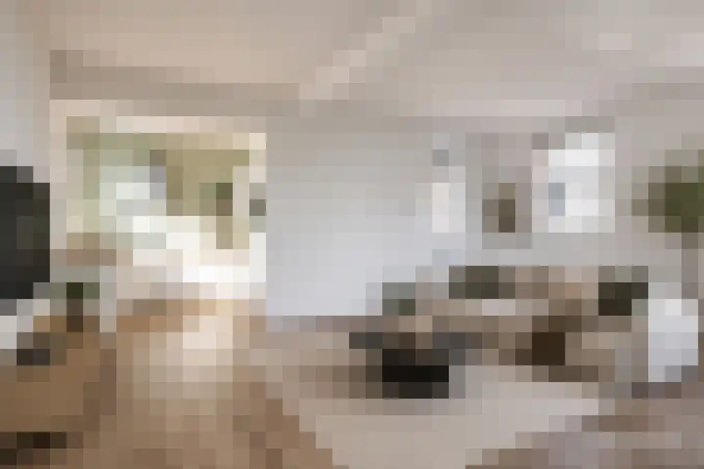 Noordsingel 117 K Rotterdam thumbnail 6