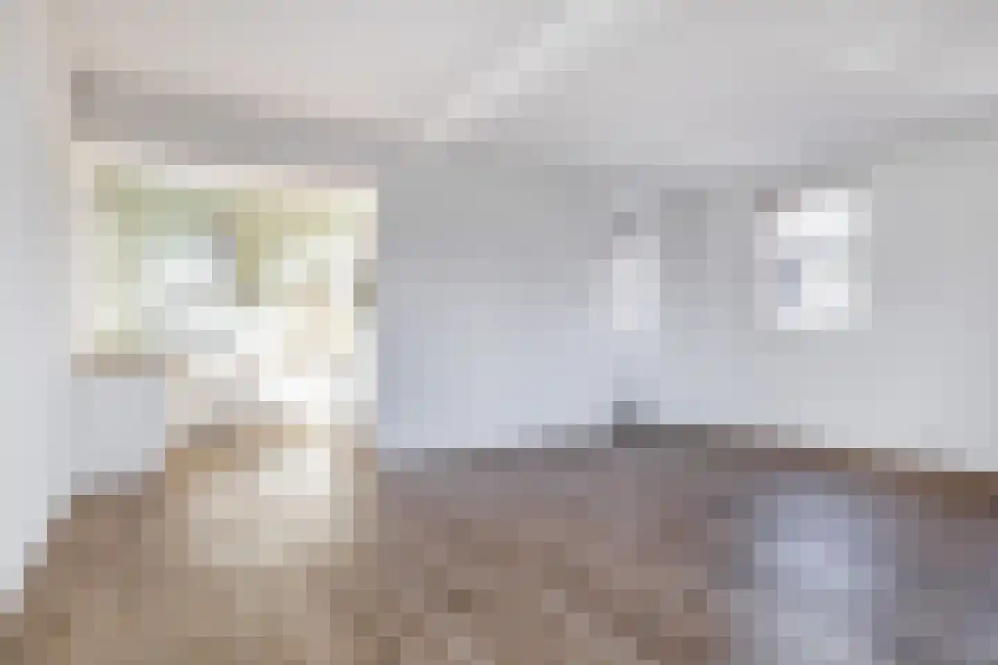 Noordsingel 117 U Rotterdam thumbnail 13